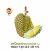 ทุเรียนทองบางสะพาน 1 ลูก (2.5-3 กก.) สวนมีตังค์ จ.ประจวบคีรีขันธ์