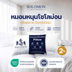SOLOMON หมอนหนุน 2 ใบ เพื่อสุขภาพ ป้องกันไรฝุ่น