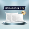 SOLOMON หมอนหนุน 2 ใบ เพื่อสุขภาพ ป้องกันไรฝุ่น