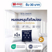 SOLOMON หมอนหนุน 2 ใบ เพื่อสุขภาพ ป้องกันไรฝุ่น