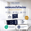 SOLOMON หมอนหนุน 2 ใบ หมอนข้าง 2 ใบ สีขาว เซ็ตคู่