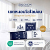 SOLOMON ชุดหมอนหนุน 1 ใบ + หมอนข้าง 1 ใบ