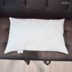 SOLOMON หมอนหนุนขอบทองเกรดโรงแรม Layla Pillow