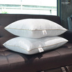 SOLOMON หมอนหนุนขอบทองเกรดโรงแรม Layla Pillow