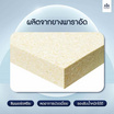 SOLOMON ที่นอนยางพารา หนา2 นิ้ว รุ่น VeryLite