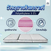 SOLOMON ที่นอนยาง เสริมยางพาราอัด 3 พับ หนา4นิ้ว รุ่น Folding สีขาว