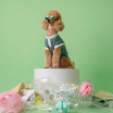 Clawset เสื้อกล้ามสัตว์เลี้ยง ชุดรักษ์โลก ฟ้า