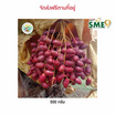 อินทผลัมโคแนนซี่ ร้อยเอ็ดแลนด์ จ.ร้อยเอ็ด