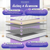 SOLOMON ที่นอนสปริงเสริมยางพารา รุ่น Mother ความหนา 10 นิ้ว