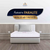 SOLOMON ที่นอนยางพารา หนา6นิ้ว รุ่น Paralite