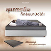 SOLOMON ที่นอนยางสังเคราะห์ หนา2นิ้ว รุ่น ERGO สัมผัสเบาะนวด
