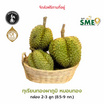 ทุเรียนทองผาภูมิหมอนทอง 2-3 ลูก 8.5-9 กก wild rabbit จ.กาญจนบุรี