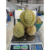 ทุเรียนใต้หมอนทอง 2 ลูก (2.7-3 กก.) สวนเจ้าพายุ