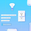 Tapo สมาร์ทปลั๊ก Mini Smart Wi-Fi Plug รุ่น P105
