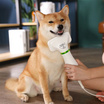 ไดร์เป่าขนสัตว์เลี้ยง ปรับอุณหภูมิได้ 3 ระดับ (สีเขียว) รุ่น PET0077GR
