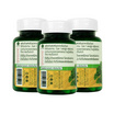 Go Herb ใบบัวบก บรรจุ 60 แคปซูล แพ็ก 3 กระปุก