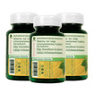 Go Herb เจียวกู่หลานผงและสารสกัด บรรจุ 60 แคปซูล/กระปุก (แพ็ก3กระปุก)
