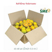สวนร่มเกล้า ส้มสายน้ำผึ้ง จ. ตาก เบอร์ 120 (ส้มคั้นน้ำ) 5.5 กก. (65-68 ผล)