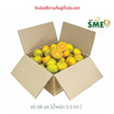 สวนร่มเกล้า ส้มสายน้ำผึ้ง จ. ตาก เบอร์ 120 (ส้มคั้นน้ำ) 5.5 กก. (65-68 ผล)