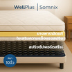 WellPlus ที่นอนยางพาราแท้เสริมสปริงพรีเมียม รุ่น Somnix หนา 10 นิ้ว