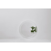 GRACE กระจก LED sapphire  รุ่น WS-D80AL-60