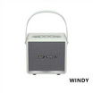 EASY&PERFECT ลำโพงบลูทูธ WINDY พร้อมไมโครโฟนไร้สาย 2 ตัว