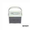 EASY&PERFECT ลำโพงบลูทูธ WINDY พร้อมไมโครโฟนไร้สาย 2 ตัว