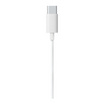 Rizz หูฟัง Type C รุ่น REM-2244G