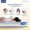SleepHappy ที่นอนยางพาราและพ็อกเก็ตสปริง รุ่น Atlantis V2 Lite หนา 7 นิ้ว