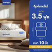 SleepHappy ที่นอนพ็อกเก็ตสปริง รุ่น Splendid หนา 10 นิ้ว