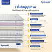 SleepHappy ที่นอนพ็อกเก็ตสปริง รุ่น Splendid หนา 10 นิ้ว