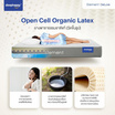 SleepHappy ที่นอนยางพาราแท้ รุ่น Element Deluxe หนา 7 นิ้ว