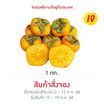 ไร่ชรินทร์พรรณ ลูกพลับ พันธุ์ P2