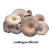 FF Farm ชุดเห็ดรวมออร์แกนิค (เข็มเงิน,นางฟ้าภูฐาน) 700 ก.