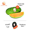 ณิชชาชามม์ แตงโม Queen Lady Size L กล่อง 2 ลูก แถม Thumbs up Size L 1 ลูก