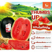 ณิชชาชามม์ แตงโม Scarleth Sun Size S กล่อง 2 ลูก แถม Thumbs up Size S 1 ลูก