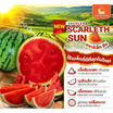 ณิชชาชามม์ แตงโม Scarleth Sun Size Jumbo กล่อง 2 ลูก แถม Thumbs up Size Jumbo 1 ลูก