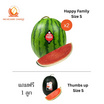 ณิชชาชามม์ แตงโม Happy Family S กล่อง 2 ลูก แถม Thumbs up Size S 1 ลูก