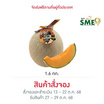 ไร่ชรินทร์พรรณ เมล่อนฮอกไกโดพรีเมียม สีส้ม