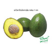 ไร่ชรินทร์พรรณ อะโวคาโด บัคคาเนีย (Size 3-5 ลูก/kg.) ฮาโลวีน