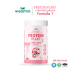 Wisamin โปรตีนแพลนท์ สูตร 1 รสลิ้นจี่ 250 กรัม