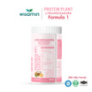 Wisamin โปรตีนแพลนท์ สูตร 1 รสลิ้นจี่ 250 กรัม