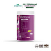 Wisamin โปรตีนแพลนท์ สูตร 4 รสองุ่น 250 กรัม