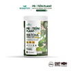 Wisamin โปรตีนแพลนท์ สูตร 4 รสมัทฉะ 250 กรัม