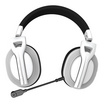 SIGNO หูฟังเกม รุ่น WP-602