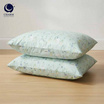 Charm หมอนหนุุนเเพ็คคู่ ลาย Mint Bun