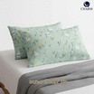 Charm หมอนหนุุนเเพ็คคู่ ลาย Mint Bun