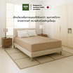 Kawa ชุดเซ็ตที่นอนยางพาราแท้รุ่น Fudo สีน้ำตาล พร้อมชุดผ้าปูที่นอนฟ้า แถมฟรีหมอนยางพารา