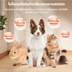 YOYOPET แป้งโรยตัวอาบน้ำแห้งสัตว์