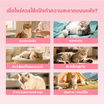 YOYOPET แป้งโรยตัวอาบน้ำแห้งสัตว์